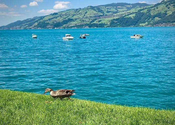 Moench Amazing Lejlighed *