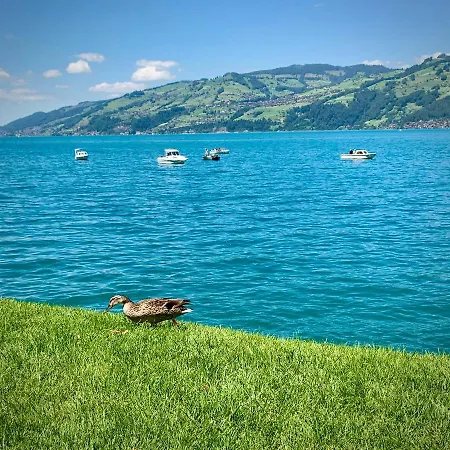 Moench Amazing Apartament *